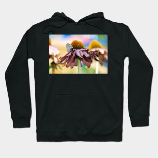 Echinacea Purpurea with Small Butterfly Hoodie